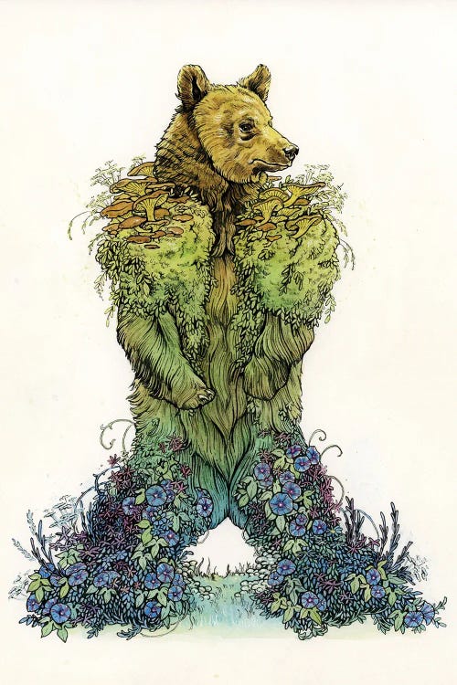 Mossy Bear