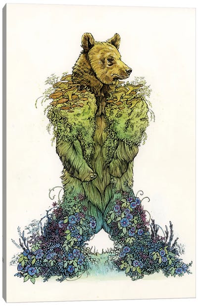 Mossy Bear Canvas Art Print - Brown Bear Art