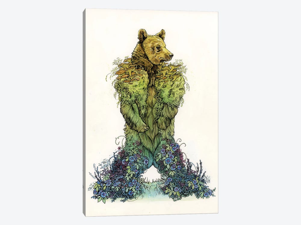 Mossy Bear by Léa Chaillaud 1-piece Canvas Artwork