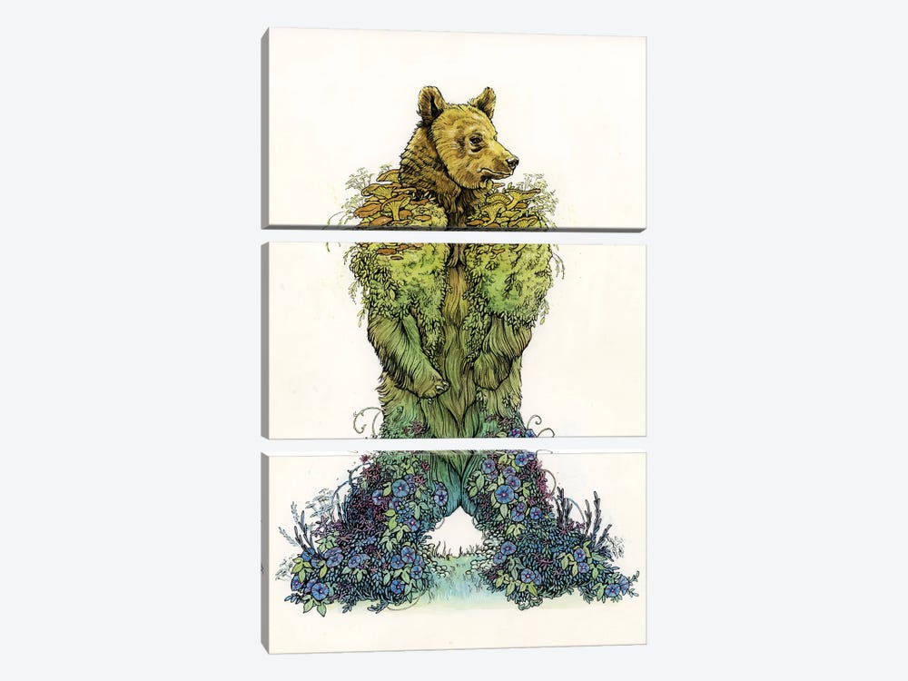 Mossy Bear by Léa Chaillaud 3-piece Canvas Art