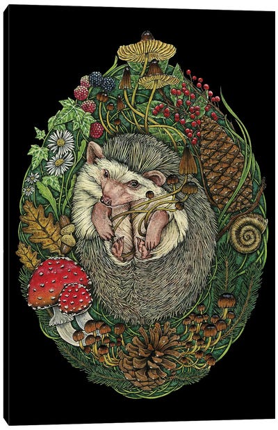 As You Slept Canvas Art Print - Hedgehogs