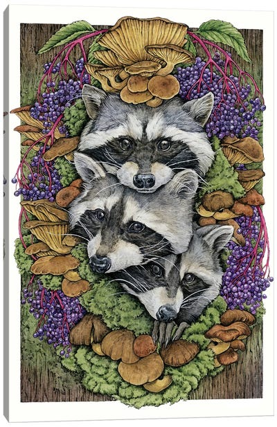 The Tree Keepers Canvas Art Print - Raccoon Art