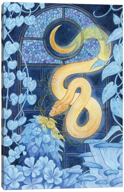 Moonlit Conservatory Canvas Art Print - Blue Art