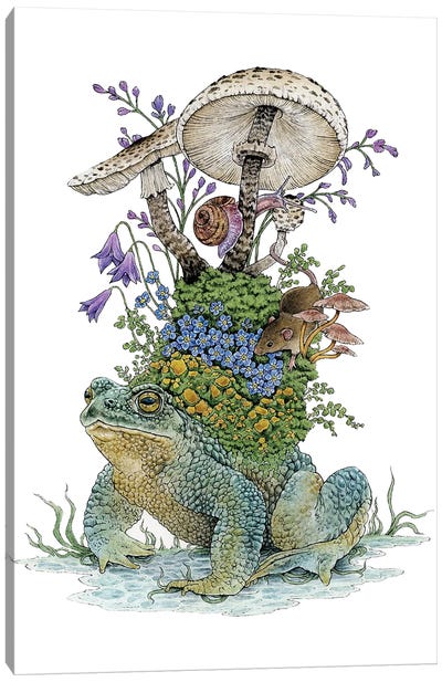 Away With The Fairies Canvas Art Print - Frog Art