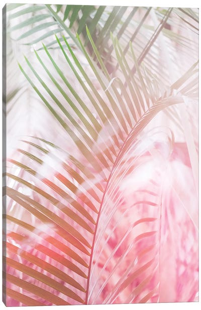 Tropical Foliage I Canvas Art Print