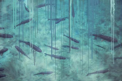 Shallow Shadows by 5by5collective framed canvas print