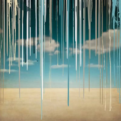 Somber Desert by 5by5collective canvas print