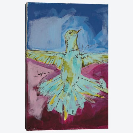 Hummingbird Pride I Canvas Print #LCM29} by Lauren Combs Canvas Art Print