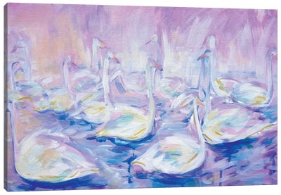 Swan Lake Canvas Art Print - Lauren Combs