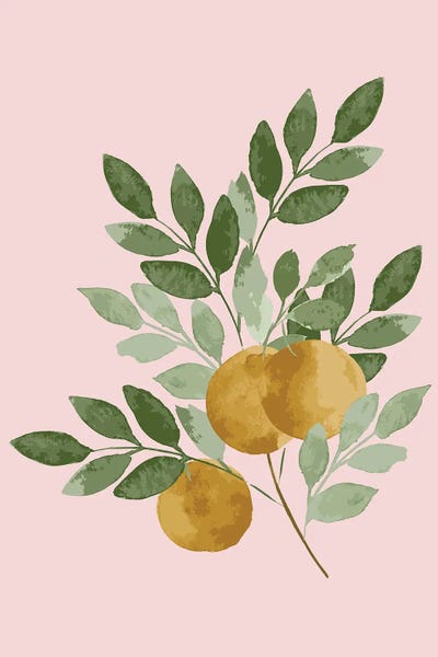 Lucille Price: Oranges by Lucille Price