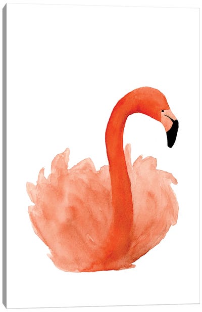 Resting Flamingo Canvas Art Print