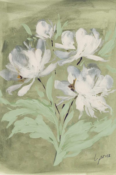 Delicate Blooms I