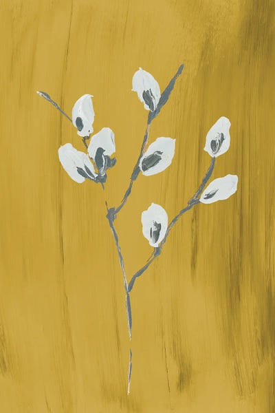 Gold Willow II