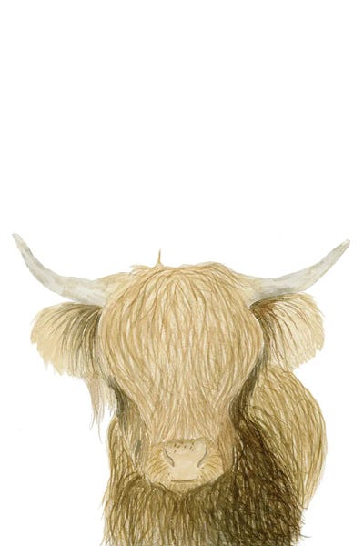 Lucille Price: Highland Cattle by Lucille Price