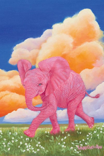 Baby Animals: Sunshine Journey by Laura Curtin