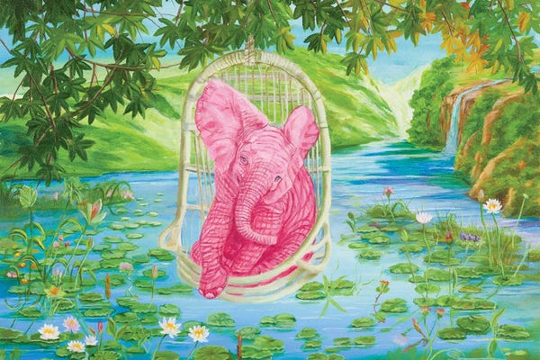 Dreamer: Dream On by Laura Curtin