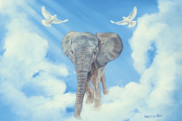 Doves & Pigeons: Little Miracle by Laura Curtin