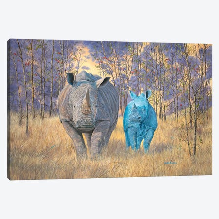 Earth And Sky Brothers Under The Sun Canvas Print #LCR14} by Laura Curtin Canvas Artwork