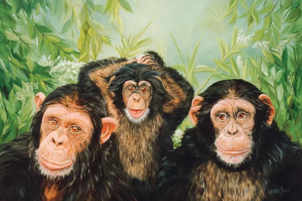 Monkeys: Grandmas Girls by Laura Curtin