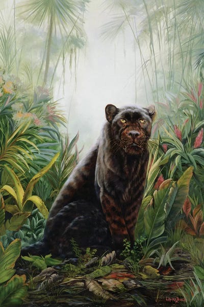 Panthers: Jungle Shadow by Laura Curtin