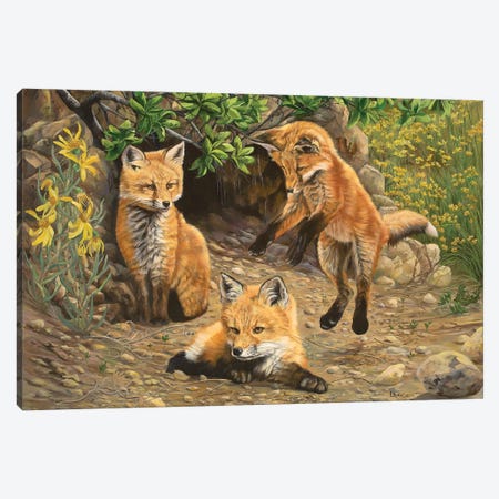 Let's Play Canvas Print #LCR24} by Laura Curtin Canvas Art Print