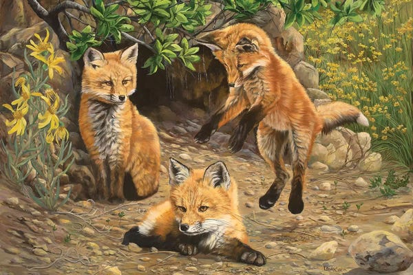 Foxes: Let's Play by Laura Curtin
