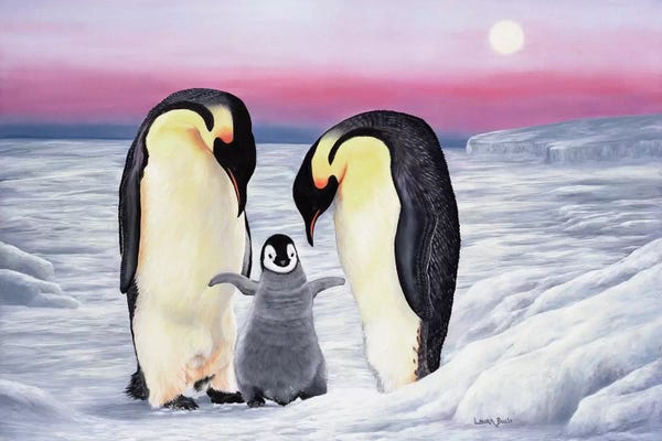 Penguins: Look Who's Walking by Laura Curtin