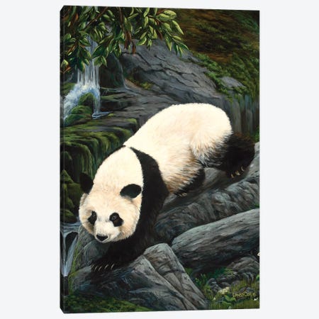 Panda Climbing Down Canvas Print #LCR29} by Laura Curtin Canvas Artwork