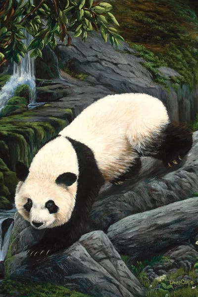 Pandas: Panda Climbing Down by Laura Curtin