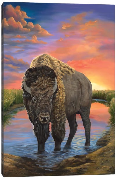 American Bison Canvas Art Print