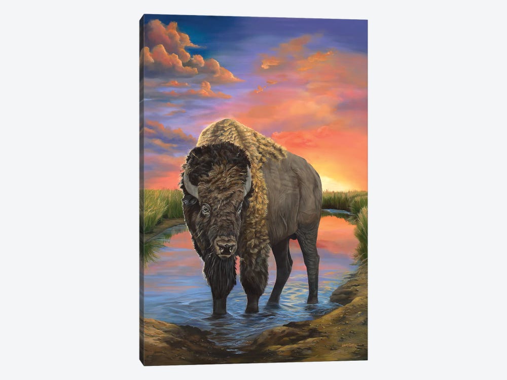 American Bison by Laura Curtin 1-piece Canvas Wall Art