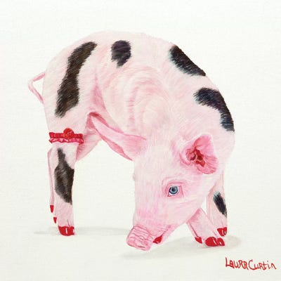 Poppy Pig by Laura Curtin canvas print