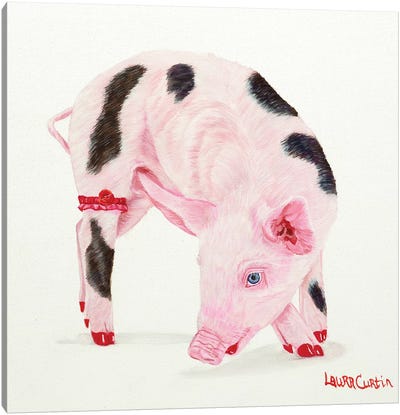 Poppy Pig Canvas Art Print - Pig Art