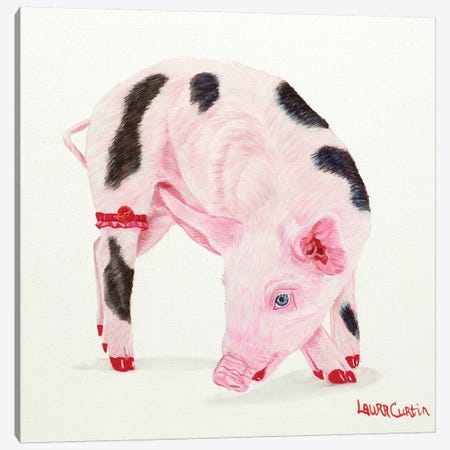 Poppy Pig Canvas Print #LCR33} by Laura Curtin Canvas Print