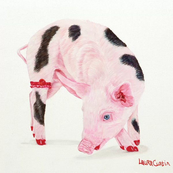Pigs: Poppy Pig by Laura Curtin