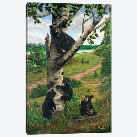 Spring In Bear Country Canvas Print #LCR36} by Laura Curtin Canvas Art