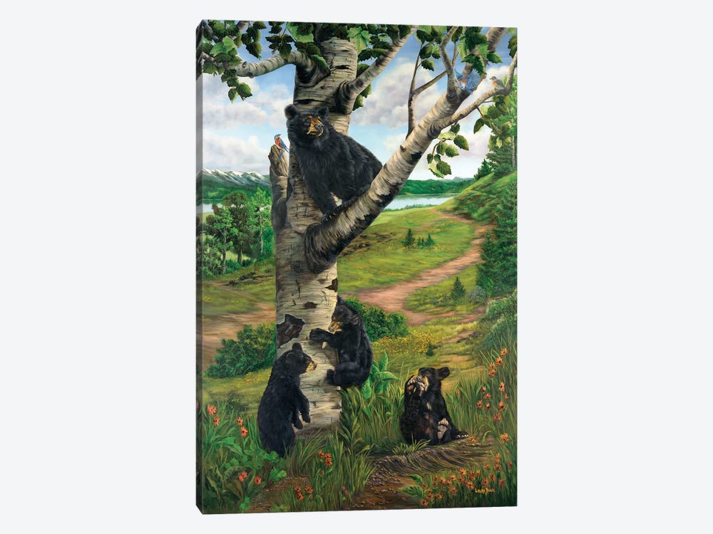 Spring In Bear Country by Laura Curtin 1-piece Canvas Print