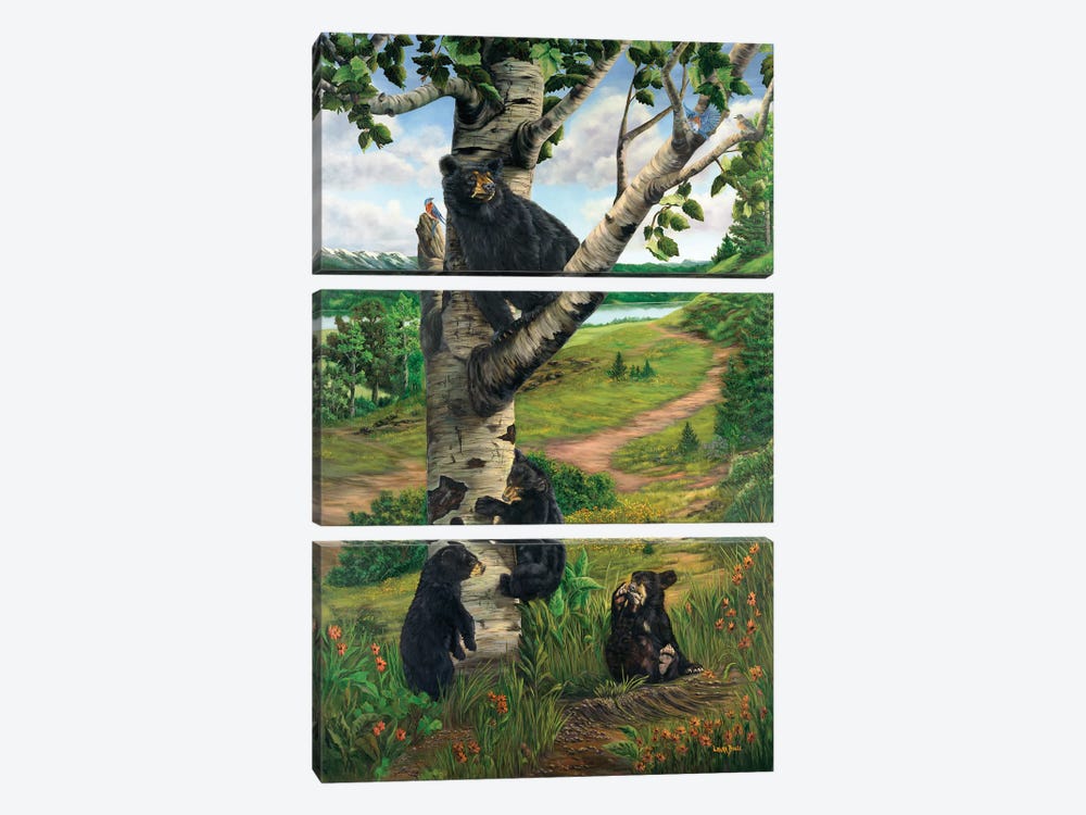 Spring In Bear Country by Laura Curtin 3-piece Art Print