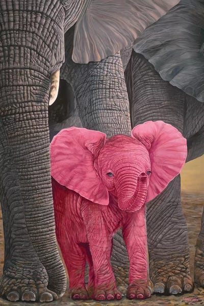 Elephants: Surprise by Laura Curtin