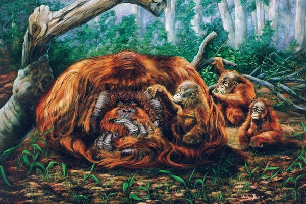 Orangutans: The Babysitter by Laura Curtin