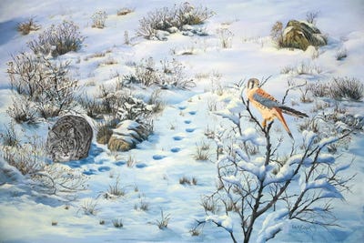 Wishful Thinking by Laura Curtin acrylic art print