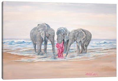 Back On Shore Canvas Art Print - Laura Curtin