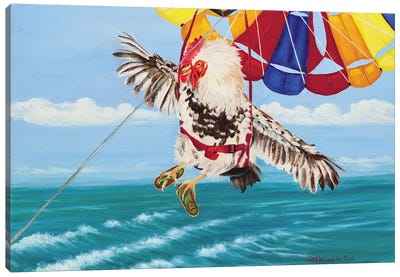 I Believe I Can Fly Canvas Art Print - Laura Curtin