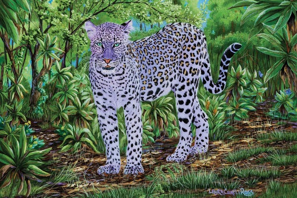 Leopards: Color Of Solitude by Laura Curtin