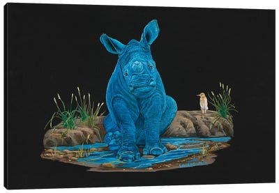 Cheer Up! Canvas Art Print - Rhinoceros Art