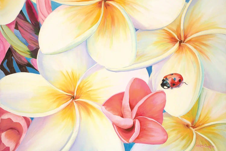 Lady Bug In The Plumeria Tree