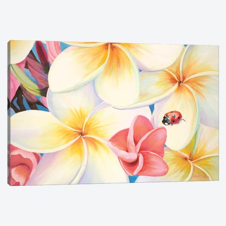 Lady Bug In The Plumeria Tree Canvas Print #LCR66} by Laura Curtin Canvas Art Print