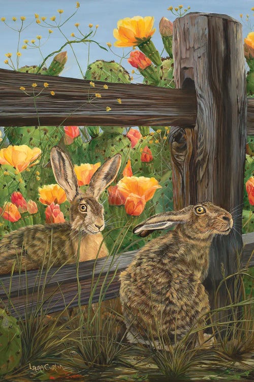 Mr. & Mrs. Hare by Laura Curtin wall art