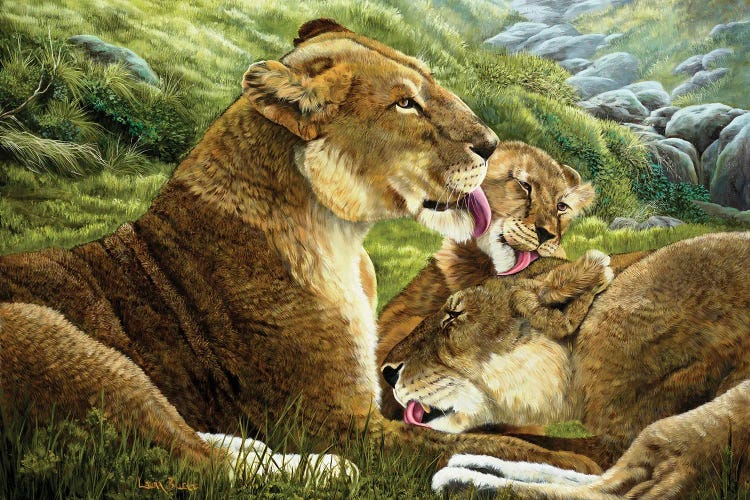 Morning Bath by Laura Curtin wall art