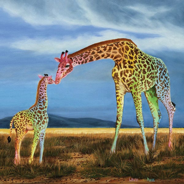 Giraffes: Color Of Love by Laura Curtin